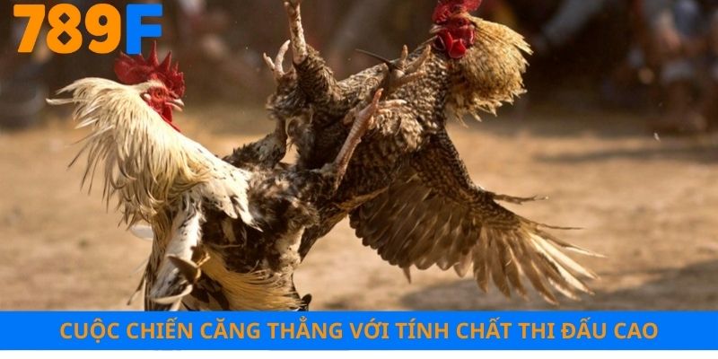 Cuộc chiến căng thẳng với tính chất thi đấu cao